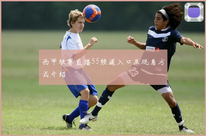 西甲联赛直播55频道入口及观看方式介绍
