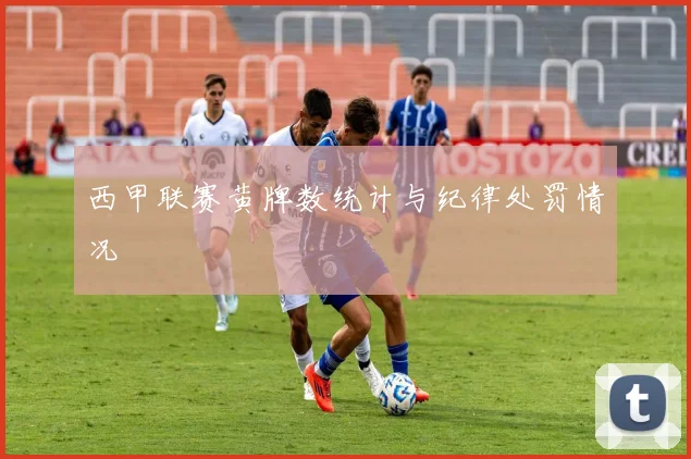 西甲联赛黄牌数统计与纪律处罚情况
