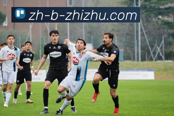 蜘蛛直播发展历程